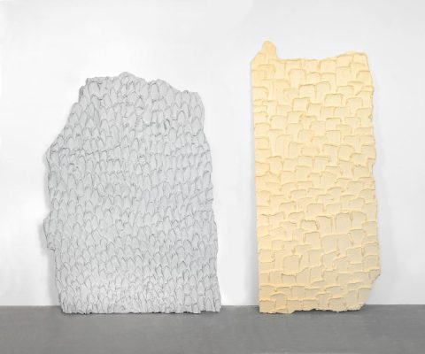 Mika Rottenberg, Texture 1 & 2, 2013