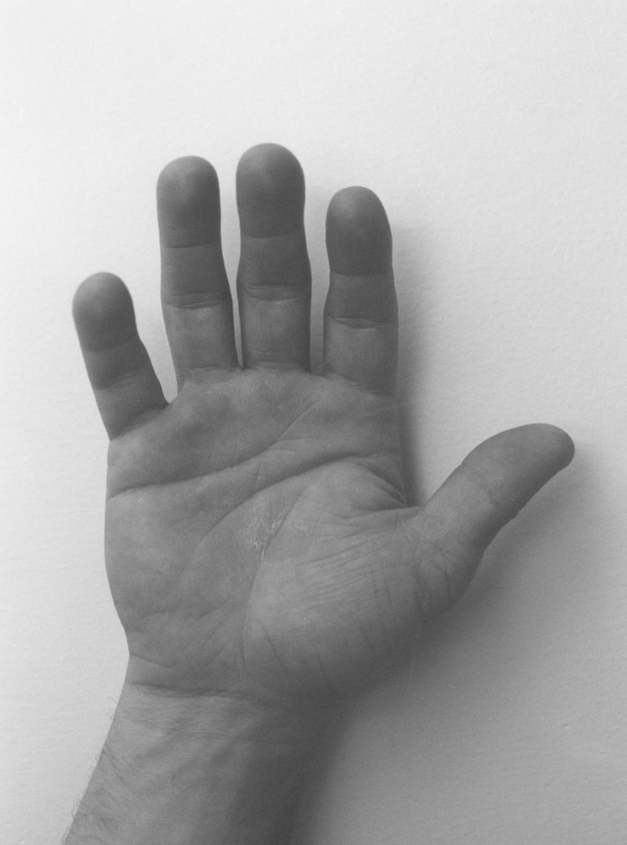 Felix Gonzalez-Torres