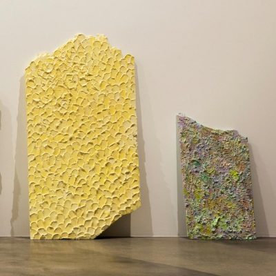 Mika Rottenberg, Texture 5 & 6, 2013