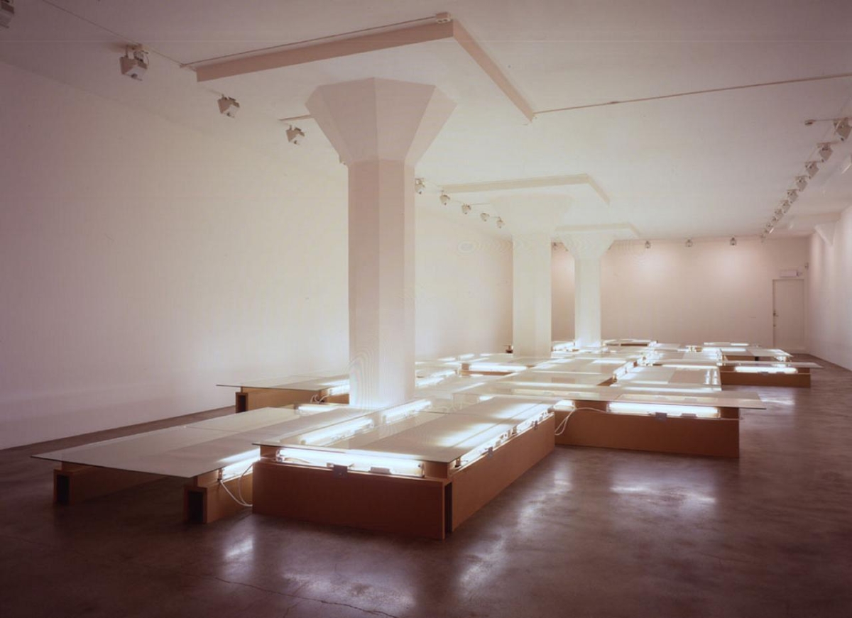 Pedro Cabrita Reis, True Gardens #2 (Stockholm), 2001
