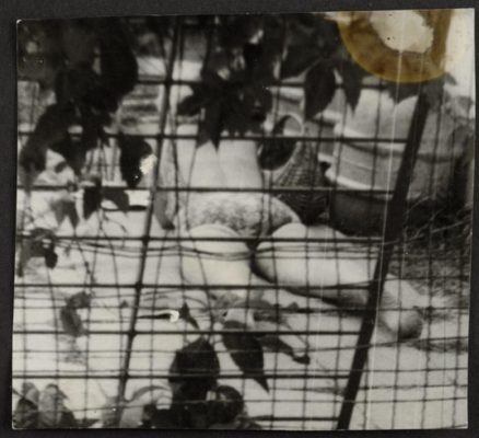 Miroslav Tichý, Untitled (MT inv. no. 5-6-180), undated (1960–1995)