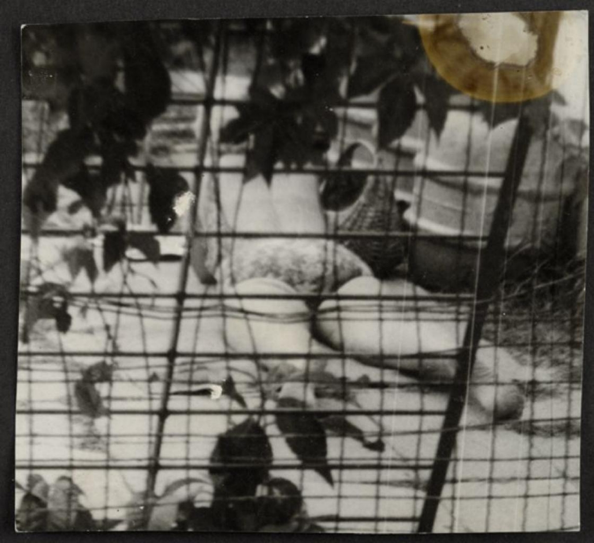 Miroslav Tichý, Untitled (MT inv. no. 5-6-180), undated (1960–1995)