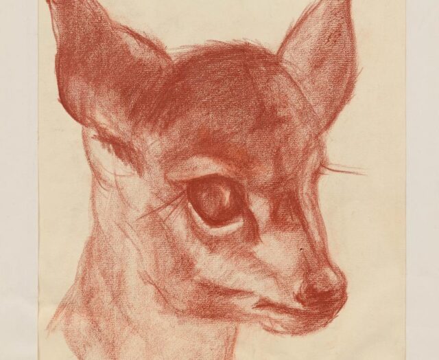 Lena Svedberg, Untitled